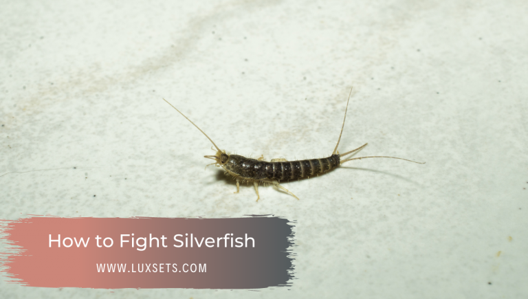 Do LED Lights Attract Bugs? - Luxsets Are Silverfish Attracted To Led Lights