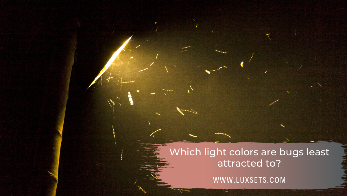 Which light colors are bugs least attracted to